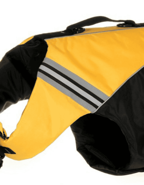 gilet de sauvetage pour chien