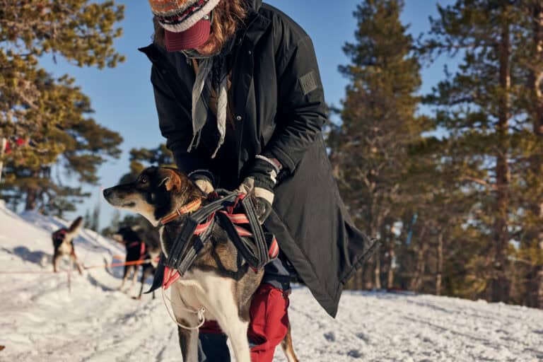 Red Original Parka revolution 3 et 1 homme noir carbone – Image 7