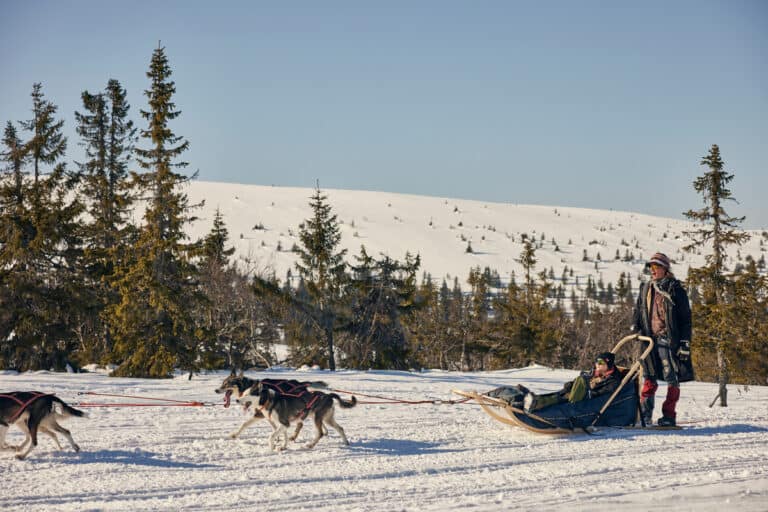 Red Original Parka revolution 3 et 1 homme noir carbone – Image 6