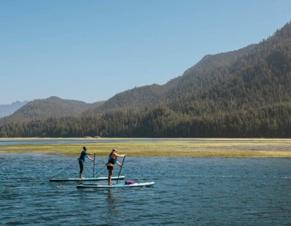 Paddle op oprequin pour le stand-up paddleboard dans un lac au milieu des montagnes.