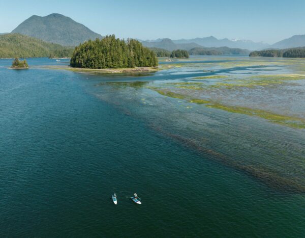 Pratique de planche à voile pour débutants sur lac avec forêt et montagnes en arrière-plan.